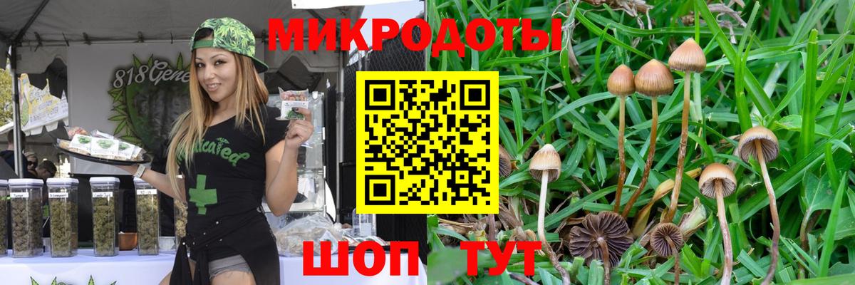 Галлюциногенные грибы ЛСД Феодосия