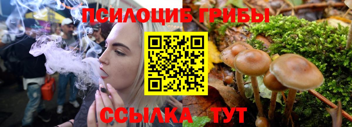 Псилоцибиновые грибы Cubensis  Псилоцибиновые грибы Psilocybe  Вход с VPN  Феодосия 