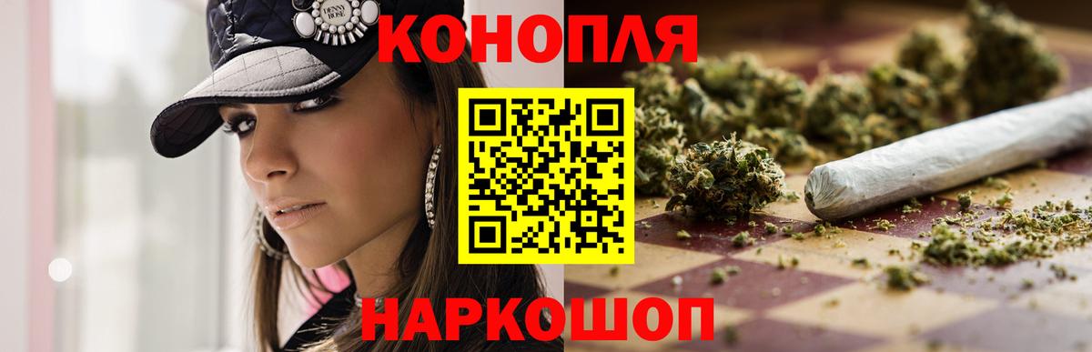 Бошки Шишки план Феодосия